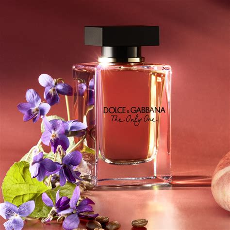 the one dolce gabbana note|dolce gabbana the one longevity.